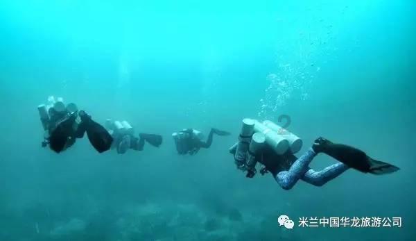 蓝狐视频