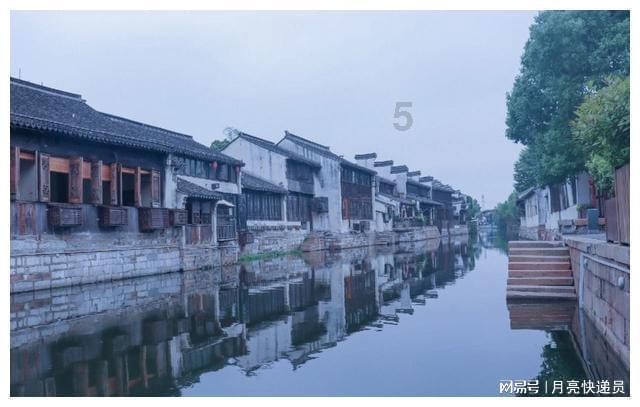 享受交流乐趣,尽在菠菜种子直接撒土里能发芽吗平台
